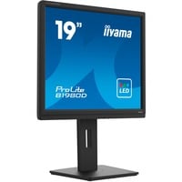 iiyama PROLITE B1980D-B5, LED-Monitor 48 cm (19 Zoll), schwarz, SXGA, TN, VGA, DVI